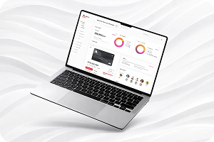 Alfa mall (E-commerce)